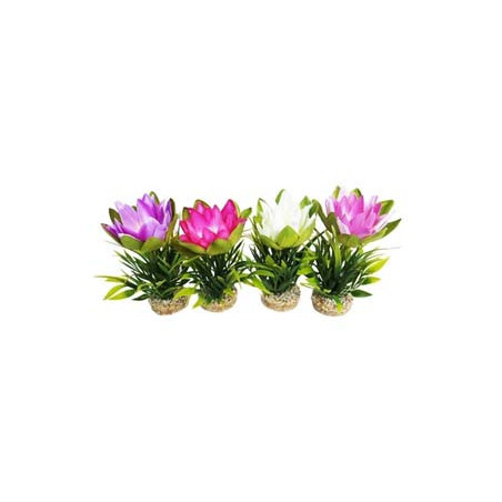 LOTUS FLOWER H:18cm SCALARE