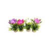 LOTUS FLOWER H:18cm SCALARE