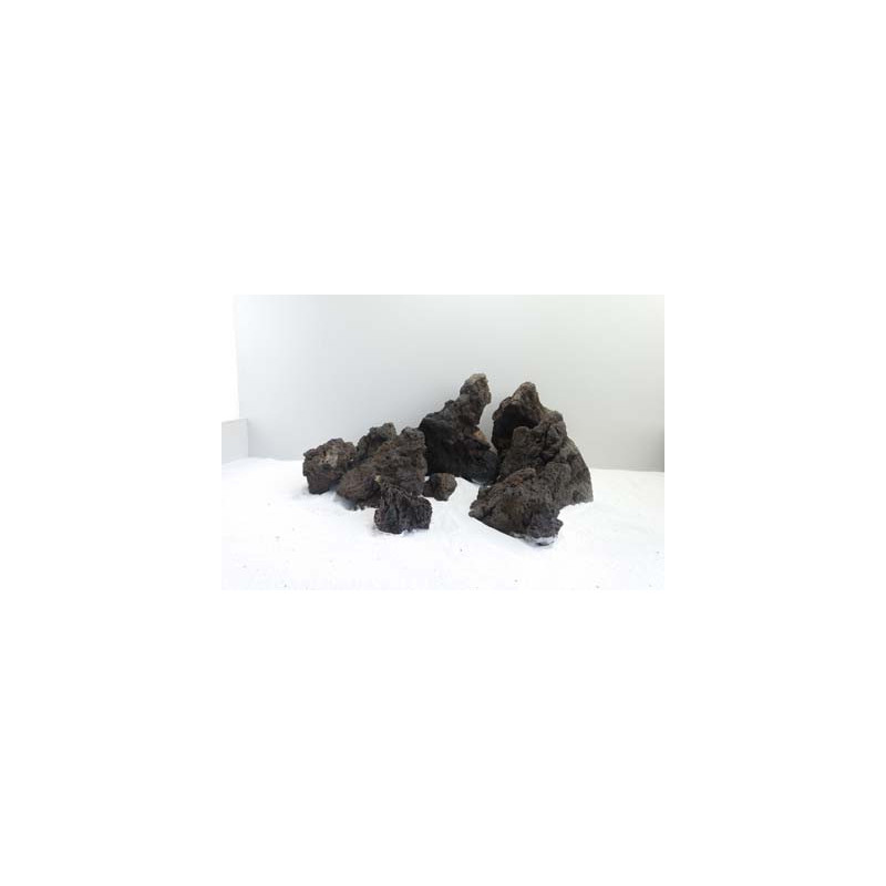 Blue Fairy 1-2kg SCALARE