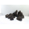 Blue Fairy 1-2kg SCALARE