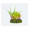 Oeuf de dinosaure 7.3x6.7x7cm SCALARE