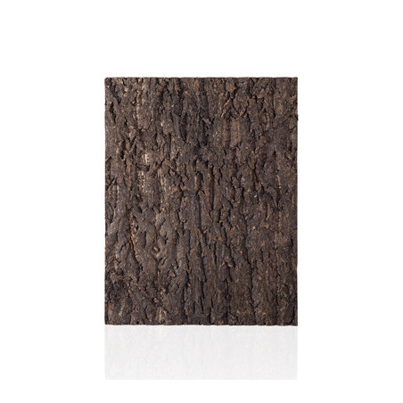 NATURAL CORK TILE BACKGROUND 45x60cm REPTIZOO