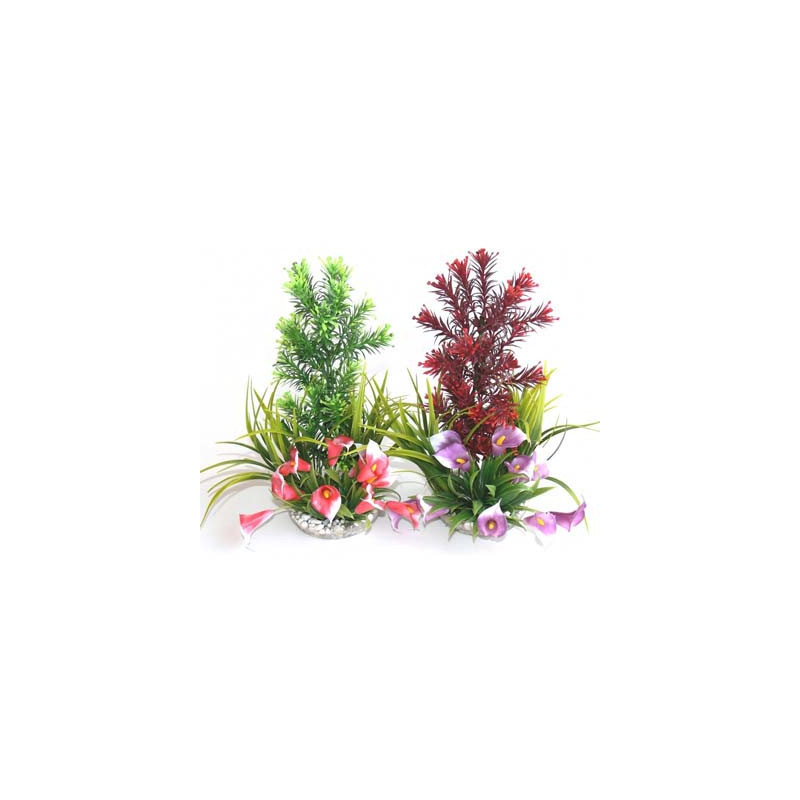 PARADISE H:28cm SCALARE