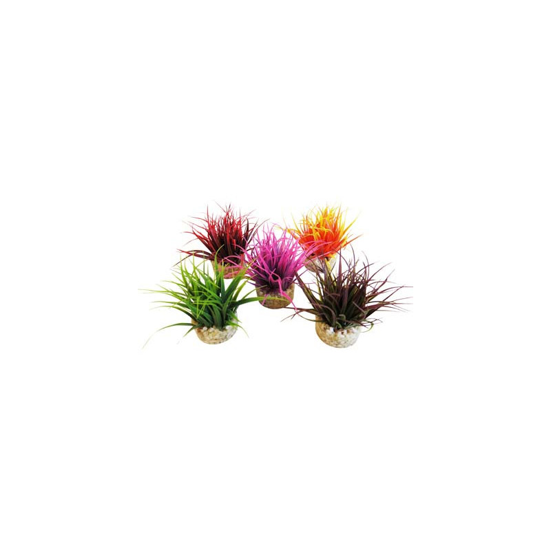 AQUA NANO MOSS H:8cm SCALARE