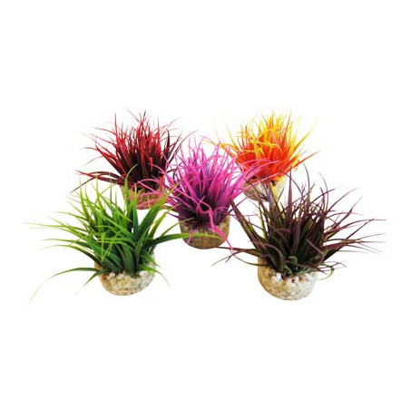 AQUA NANO MOSS H:8cm SCALARE