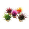 AQUA NANO MOSS H:8cm SCALARE