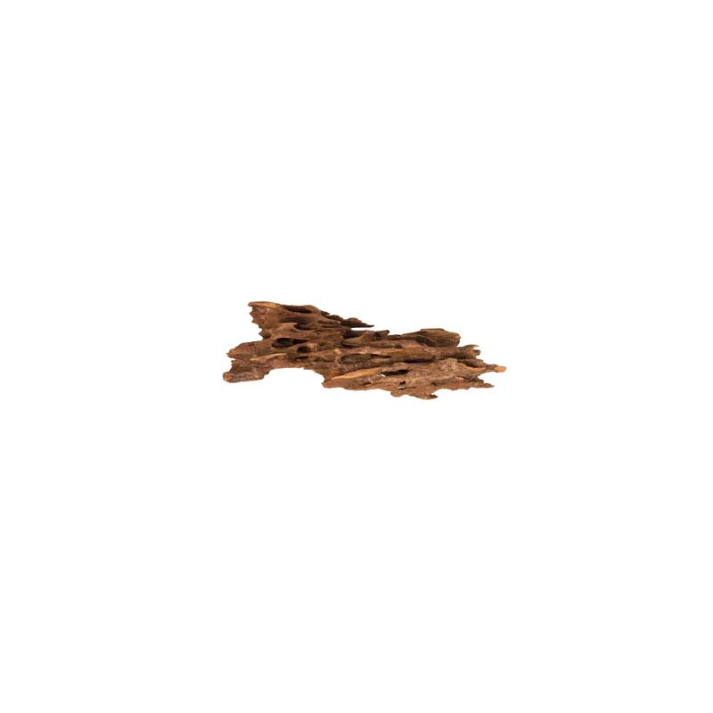 RACINE SHRIMP WOOD 15 à 25cm 1p SCALARE RACINE SHRIMP WOOD 15 à 25cm 1p SCALARE