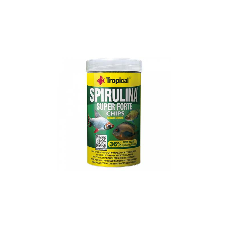 SUPER SPIRULINA FORTE CHIPS 250ml----- SUPER SPIRULINA FORTE CHIPS 250ml-----