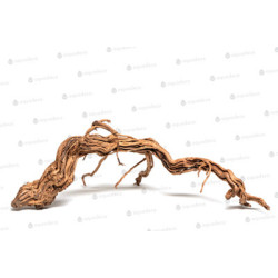 RACINE CURL WOOD S 30 à 55cm 1p