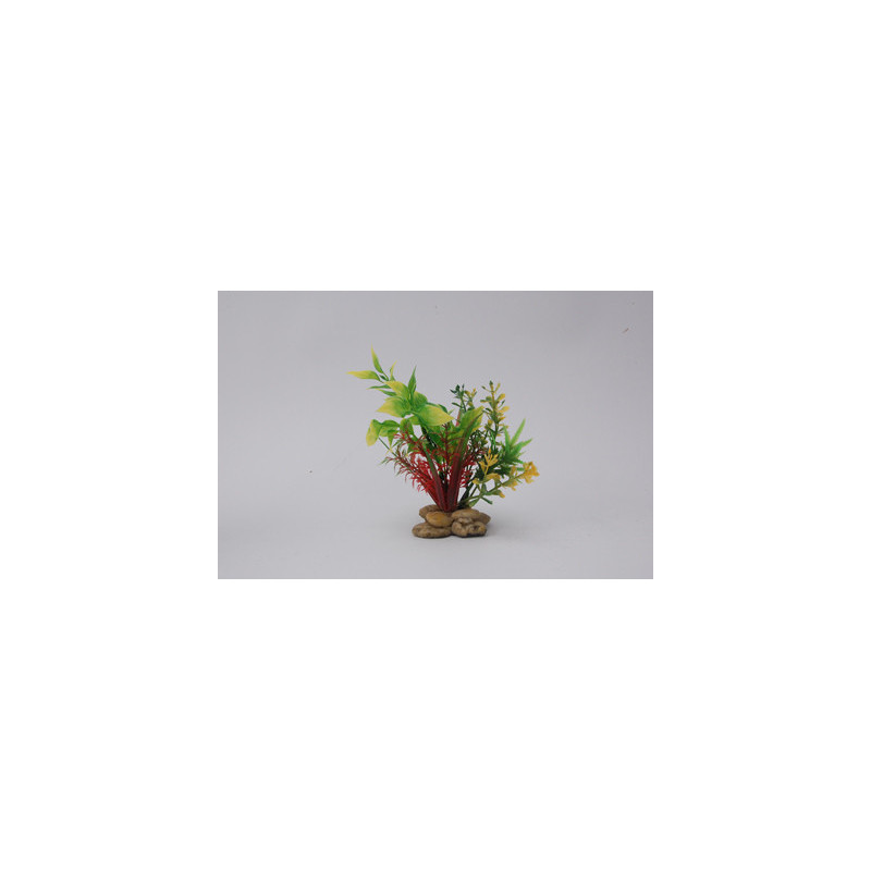 PLANT H:15cm SCALARE---