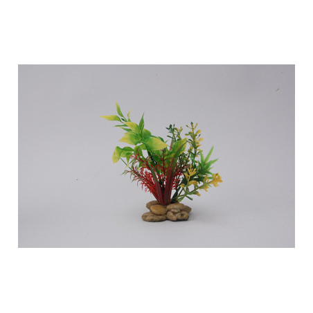 PLANT H:15cm SCALARE---