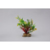 PLANT H:15cm SCALARE---