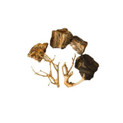 ROCHES + RACINES WOOD FOSSIL (4/6pc - 2pc) SCALARE