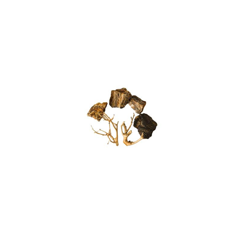 ROCHES + RACINES WOOD FOSSIL (4/6pc - 2pc) SCALARE ROCHES + RACINES WOOD FOSSIL (4/6pc - 2pc) SCALARE