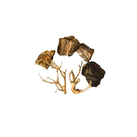 ROCHES + RACINES WOOD FOSSIL (4/6pc - 2pc) SCALARE
