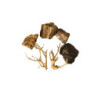 ROCHES + RACINES WOOD FOSSIL (4/6pc - 2pc) SCALARE