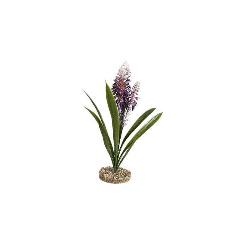 TERRA ALOE FLEUR 45cm SCALARE