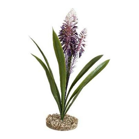 TERRA ALOE FLEUR 45cm SCALARE