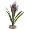 TERRA ALOE FLEUR 45cm SCALARE