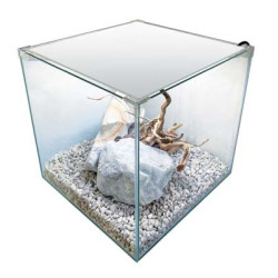 NEWA EGO FULL 50 BLANC avec LED 3.9w + filtre. 45L