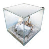 NEWA EGO FULL 50 BLANC avec LED 3.9w + filtre. 45L