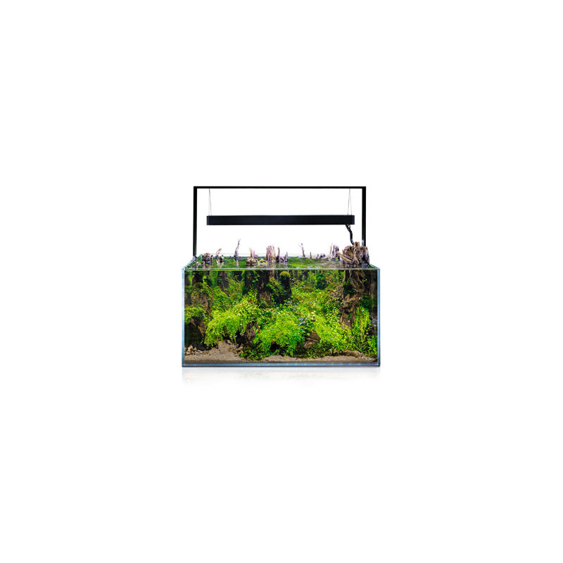 AQUARIUM ULTRASCAPE 90 SET FOREST 240L AQUAEL AQUARIUM ULTRASCAPE 90 SET FOREST 240L AQUAEL