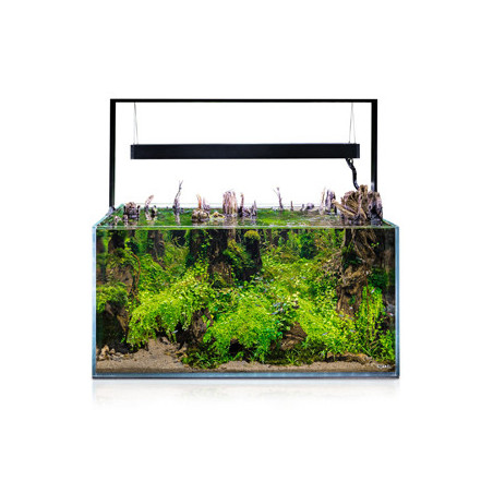 AQUARIUM ULTRASCAPE 90 SET FOREST 240L AQUAEL