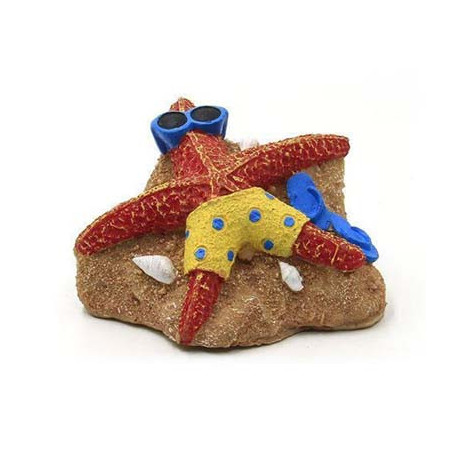 √âtoile de mer 8.6x7.5x4.8cm SCALARE