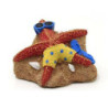 √âtoile de mer 8.6x7.5x4.8cm SCALARE