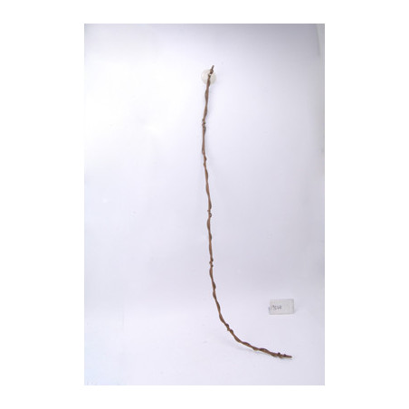 VINE   1200x10x10mm---