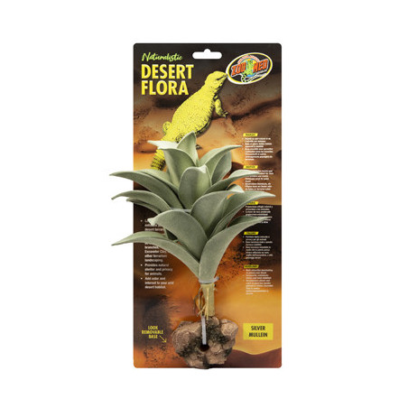 PLANTE SILVER MULLEIN ZM-----