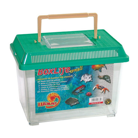 BOXLIFE SMALL