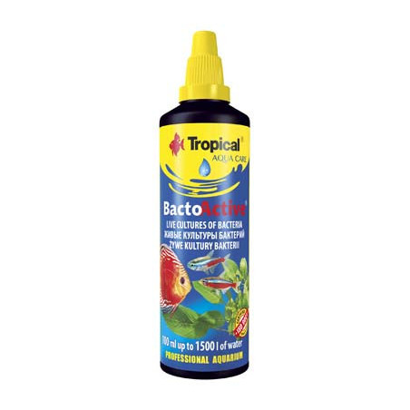 BACTO ACTIVE 250ml