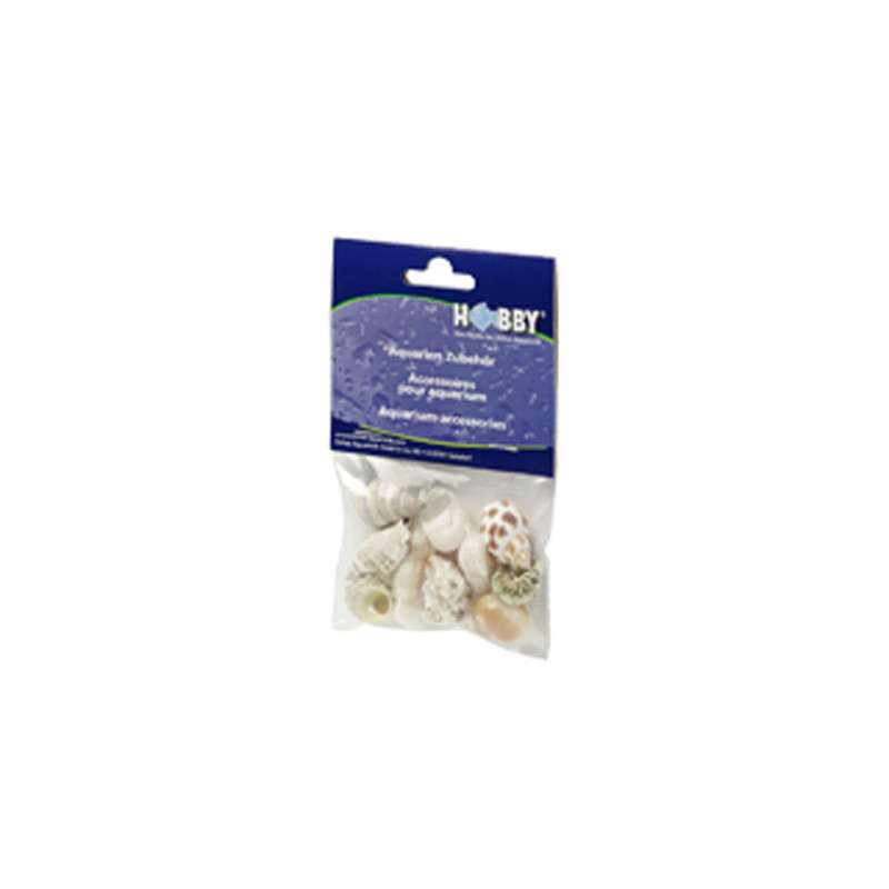*COQUILLES SEA SHELLS SET M (10pc) HOBBY (sur commande)