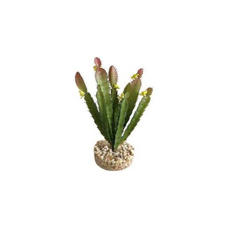 TERRA CACTUS FLEUR 17cm SCALARE