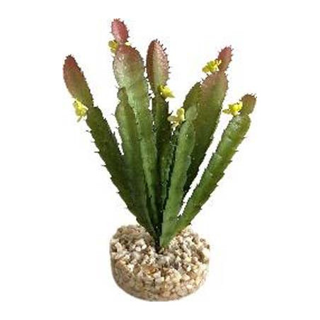 TERRA CACTUS FLEUR 17cm SCALARE