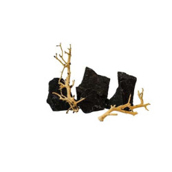 ROCHES + RACINES WAVE IN ROCK (4/6pc - 2pc) SCALARE