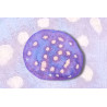 Mycedium robokaki Corps bleu, Yeux roses 2-3 cm