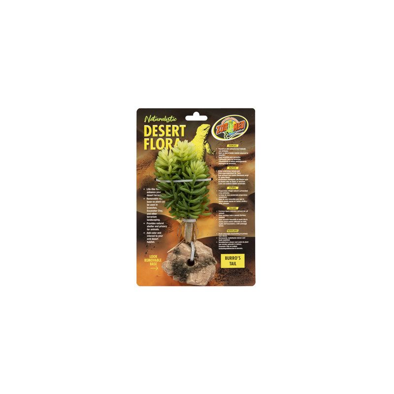 PLANTE BURRO'S TAIL ZM----- PLANTE BURRO'S TAIL ZM-----