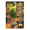 PLANTE BURRO'S TAIL ZM-----