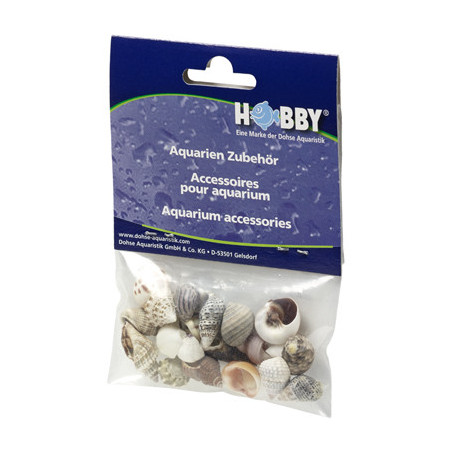 *COQUILLES SEA SHELLS SET S (20pc) HOBBY (sur commande)