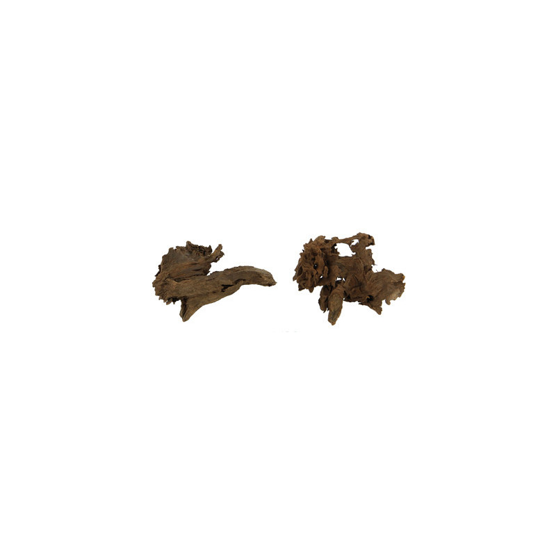 RACINE MANGROVE XS 12-15cm HOBBY RACINE MANGROVE XS 12-15cm HOBBY
