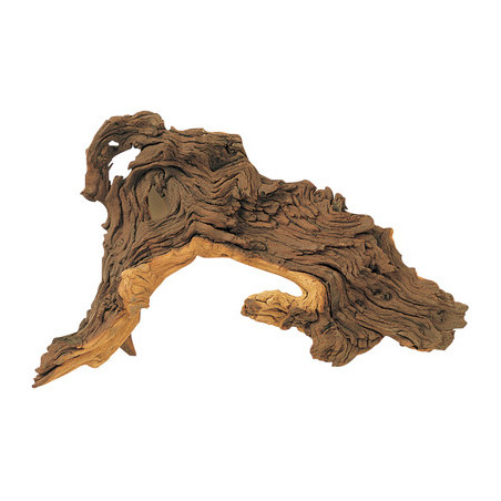 RACINE MOPANI S 15-25cm HOBBY