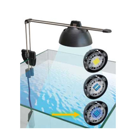 *PowerLED ACTINIC 6471 (sur commande)