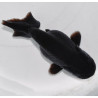 Carassius auratus voile (Ranchu tête de lion noir) 4-4,5 cm