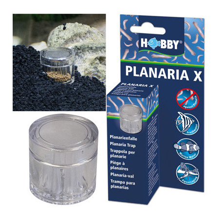 PLANARIA X piège à planaires HOBBY