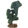 *CACTUS VICTORIA (2) 22cm HOBBY (sur commande)