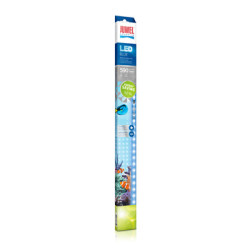 BLUE LED 590mm JUWEL