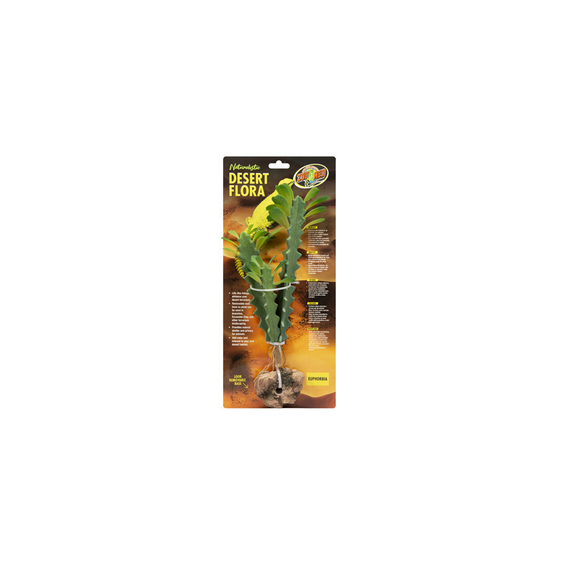 PLANTE EUPHORBIA ZM---- PLANTE EUPHORBIA ZM----