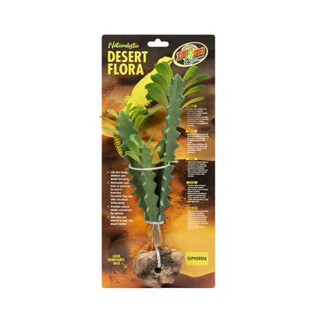 PLANTE EUPHORBIA ZM----